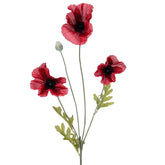 POPPY RED